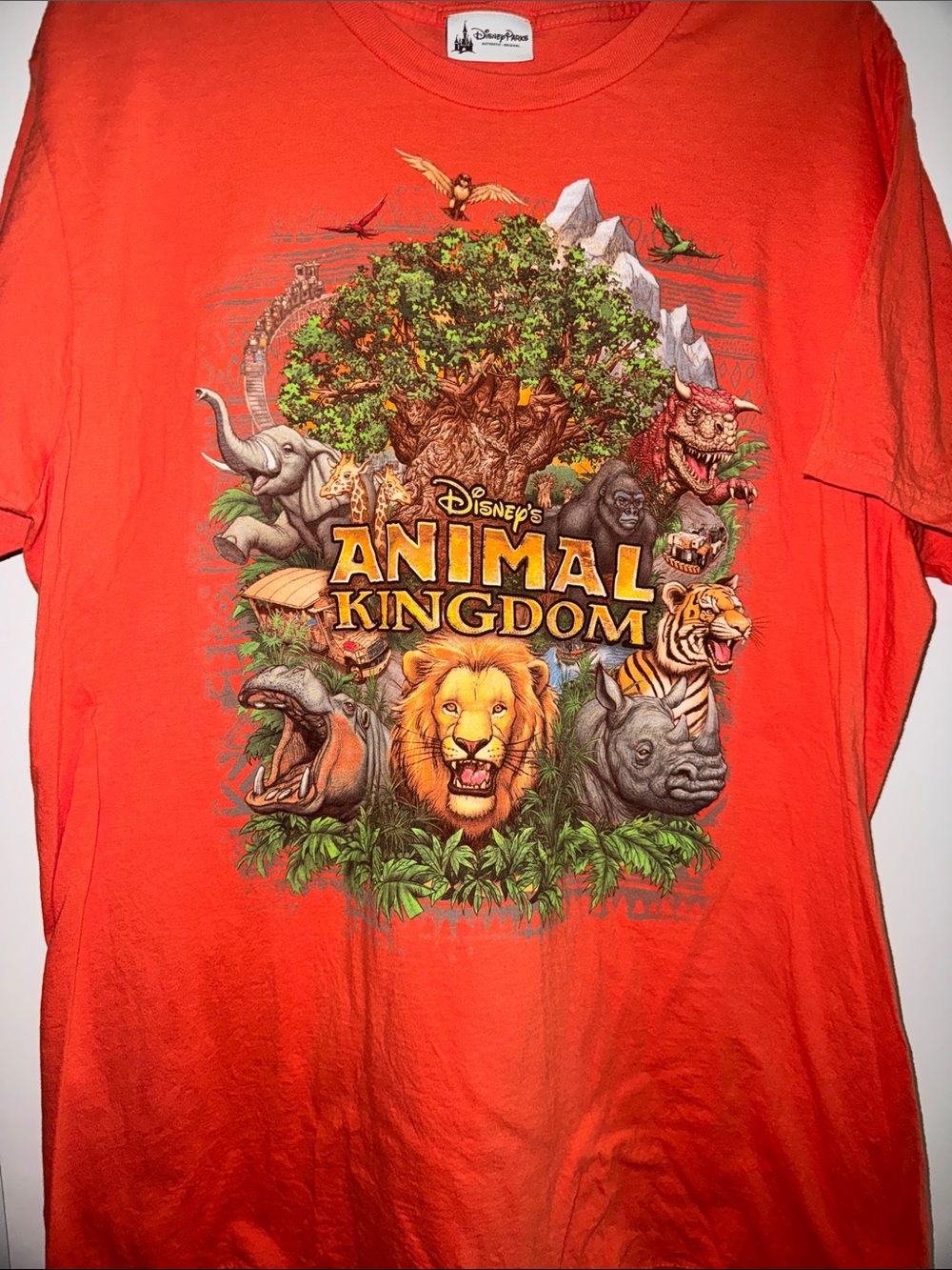Disney Orange Animal Kingdom Graphic Tee
